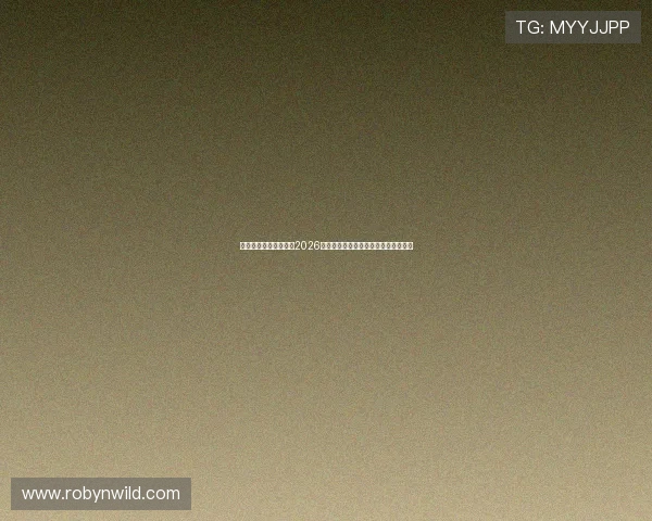 爱体育全站：深度解析2026年世界杯球队战术布局与明星球员表现